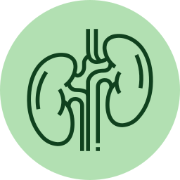 kidney-1