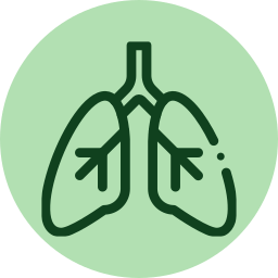 lungs