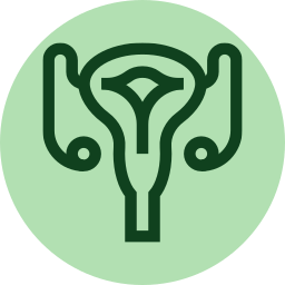 reproductive-system
