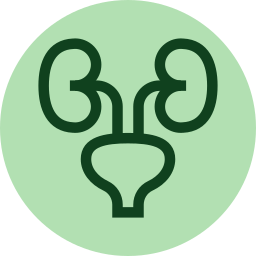 urinary